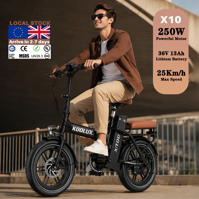 Europe Poland X10 Electric Fol - Mountain Biking Europe ulasan dan harga